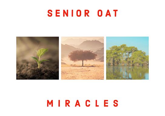 Senior Oat – Reason To Pray