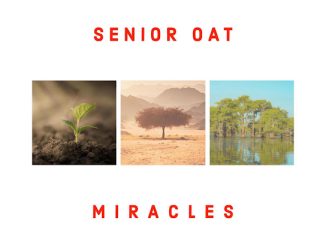 Senior Oat – Yaweh
