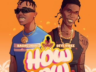 Kashcoming – How Low (Remix)