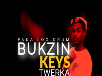 Bukzin Keyz – Twerka 4.0(african music)