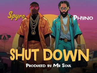 Spyro – Shutdown