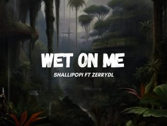 Shallipopi – Wet on Me