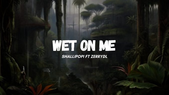 Shallipopi – Wet on Me
